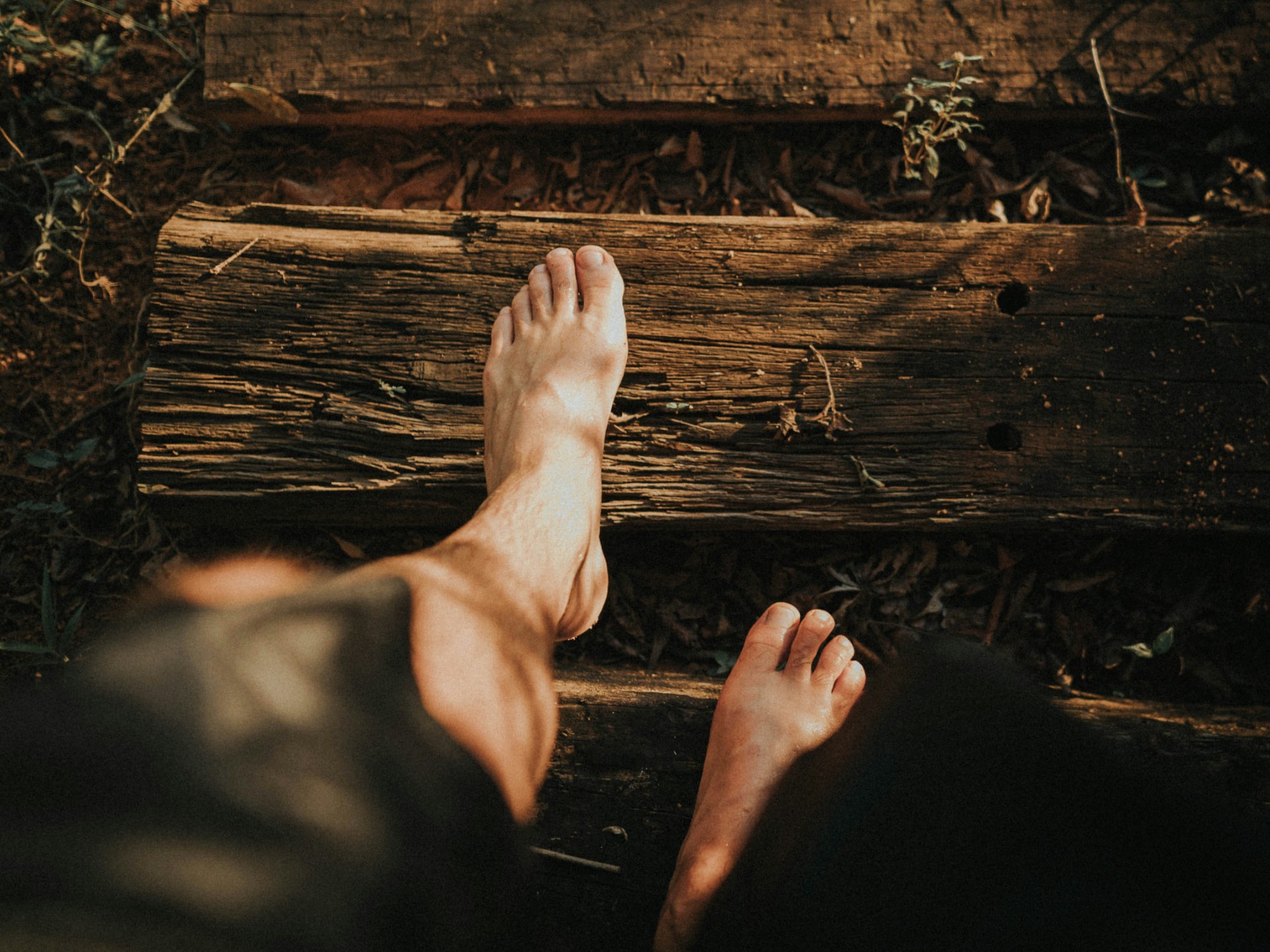A person's bare feet stepping on a weathered wooden beam in warm sunlight, representing returning to the body as a safe place to feel.