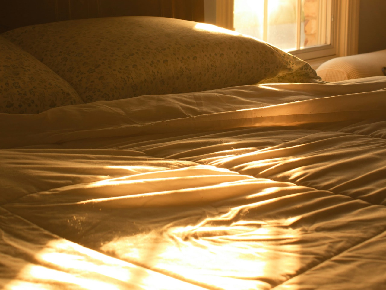 Warm morning sunlight streaming through a window across rumpled bed linens, representing rebuilding the felt sense of aliveness and want.
