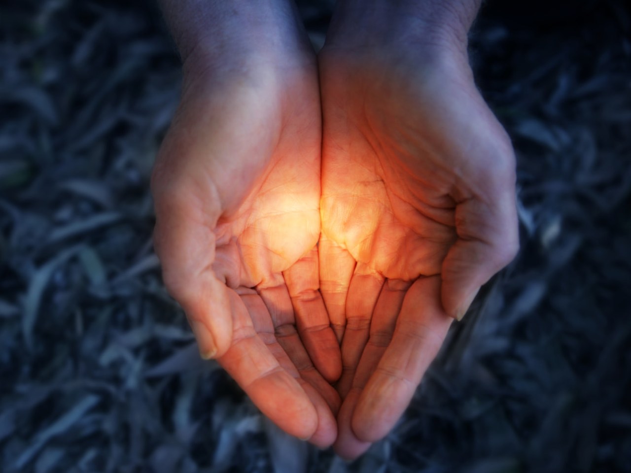 Two cupped hands gently holding a warm glowing light, representing learning to hold pleasure and arousal without shame arriving first.