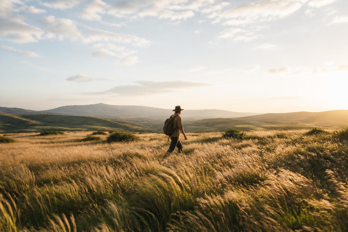 A single figure walking through a sunlit meadow with open sky
